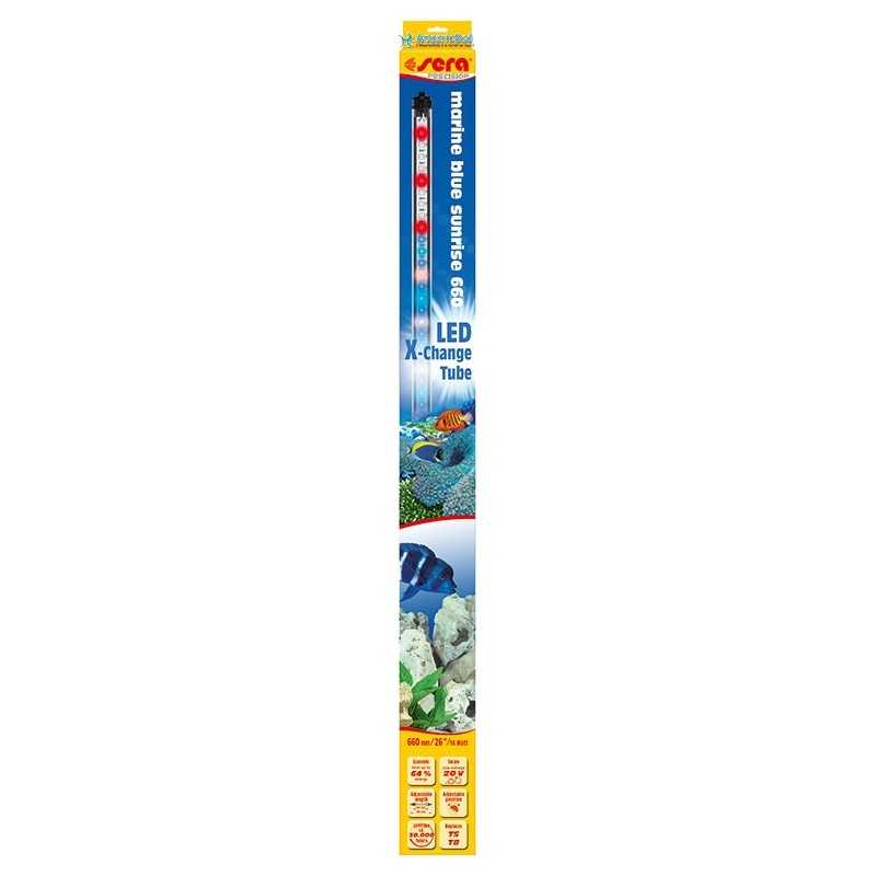 SERA Led X-Change Tube Marine Blue Sunrise 660 mm
