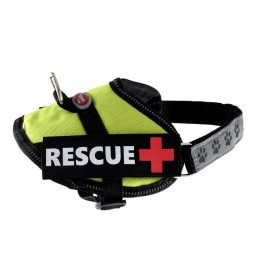 RESCUE Plus Hundegeschirr Limettengrün
