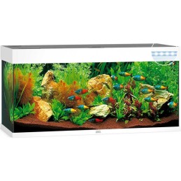 Aquarium JUWEL Rio 240 Led Blanc