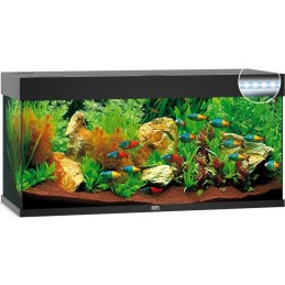 Acuario JUWEL Rio 240 Led Noir