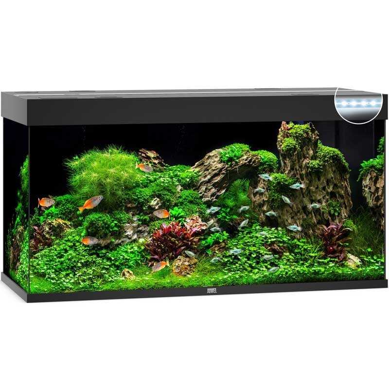 Acquario JUWEL Rio 350 Led noir - 350 Litri