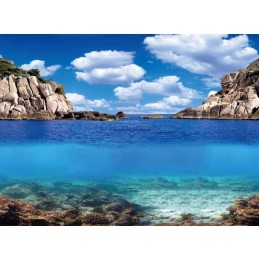 Póster de acuario AQUA NOVA Plantas / Océano
