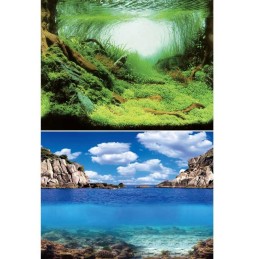 AQUA NOVA Poster aquarium Plantes / Océan