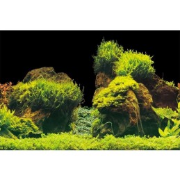 AQUA NOVA Aquarium Poster Felsen / Pflanzen