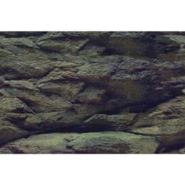 AQUA NOVA Aquarium Poster Felsen / Pflanzen
