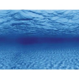 Póster del acuario AQUA NOVA Raíces/Fondo marino