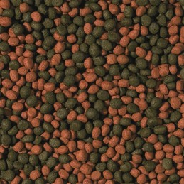 Cíclido tropical omnívoro en pellets pequeños