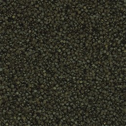 TROPICAL Super Spirulina Forte Granulato 36%