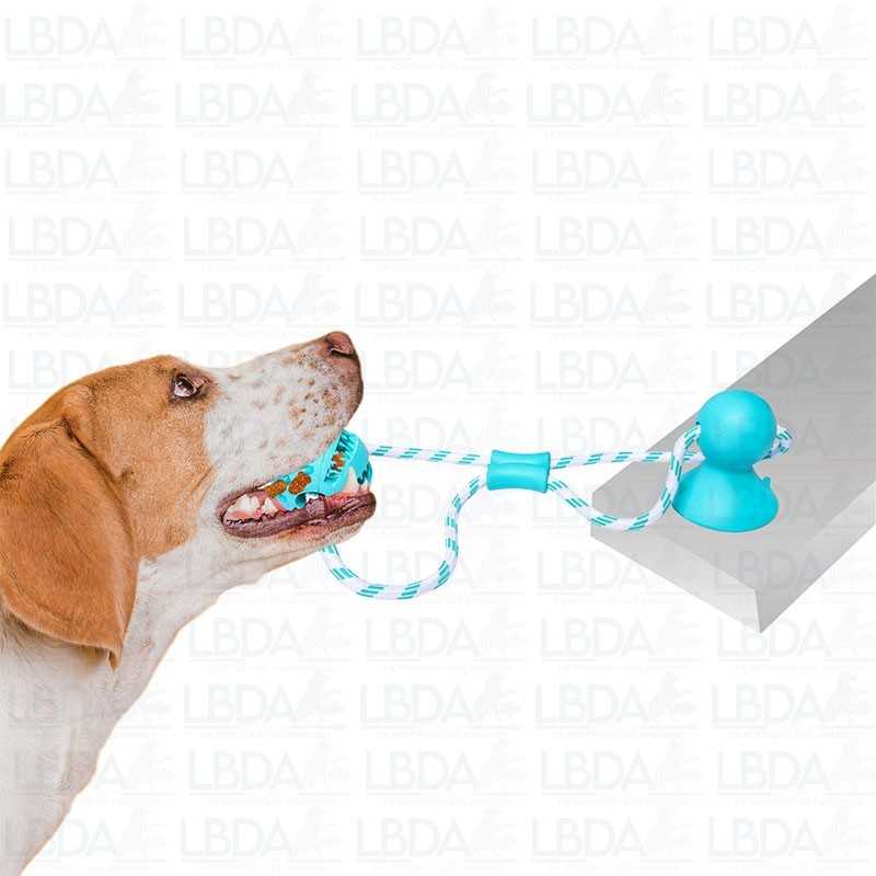 PET NOVA Balle sur corde avec ventouse 7 cm