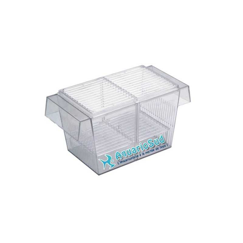 Isolatore, separatore a doppia separazione per pesci