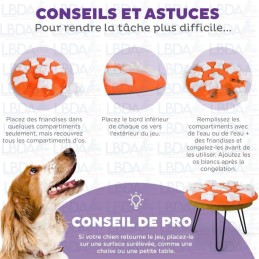 Nina Ottosson - Jeu Educatif Dog Smart pour Chien
