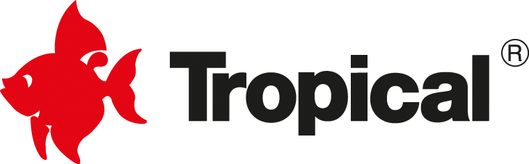 TROPICAL