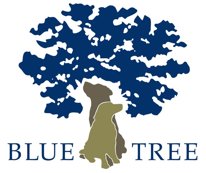 BLUE TREE