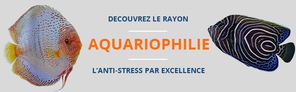 Le monde de l'aquariophilie