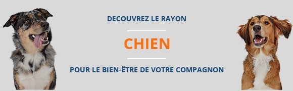 Le monde canin